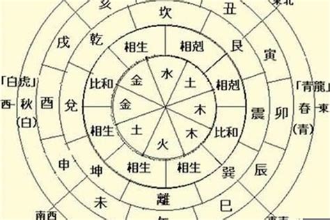 地支五行陰陽|八字基礎教學,陰陽,五行,干支,廿四節氣（20分鐘了解）